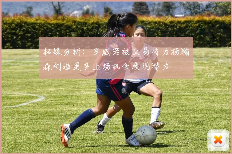 拓媒分析：罗威若被交易将为杨瀚森创造更多上场机会展现潜力