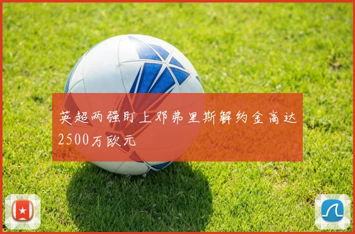 英超两强盯上邓弗里斯解约金高达2500万欧元