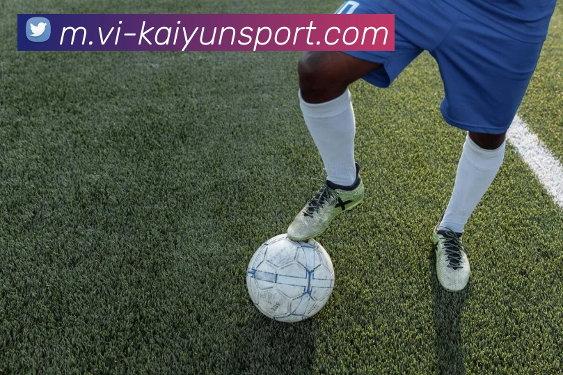 开云足球APP 封面图